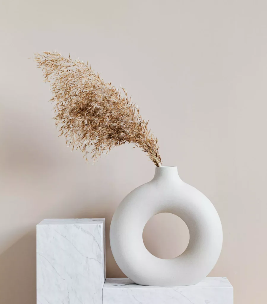 Essential Skills for Strong Career Success pexels karolina grabowska 4207892