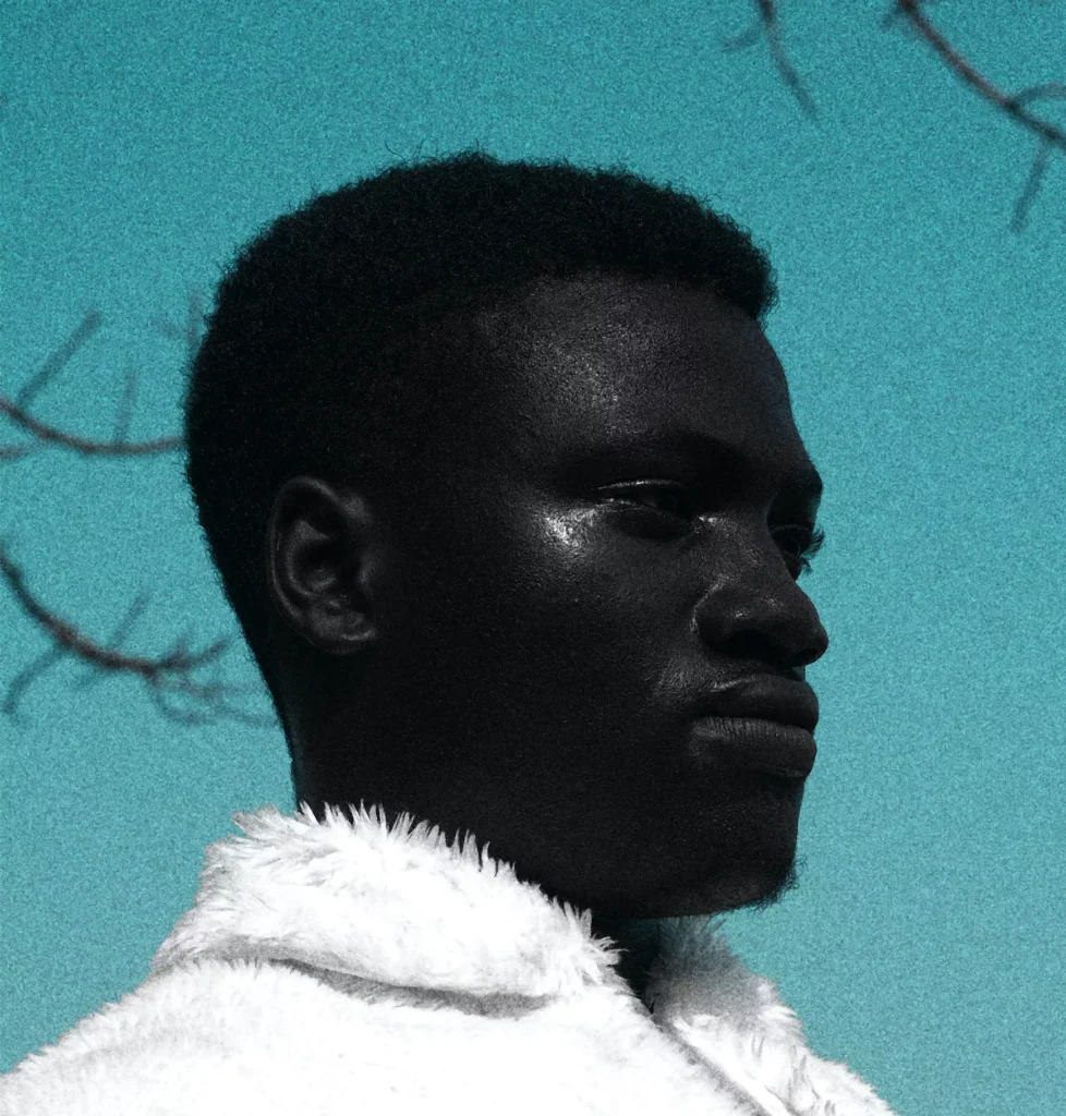 prince akachi qow wkyyv44 unsplash 3